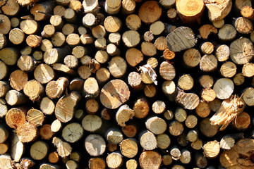 Fototapeta premium Stacked firewood as background