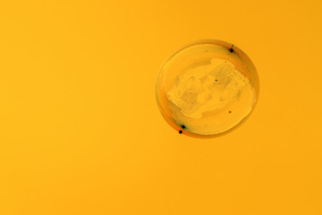 Soap bubbles on a golden background