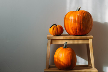 Autumn decoration on white with copy space. Pumpkins