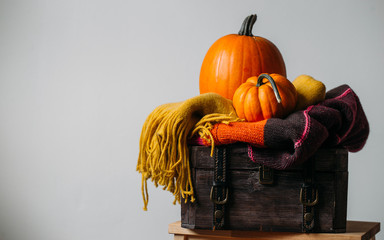 Autumn decoration on white with copy space. Pumpkins