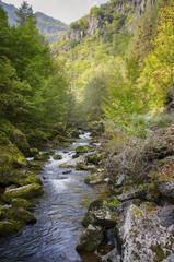 Mountain River in the Rocks