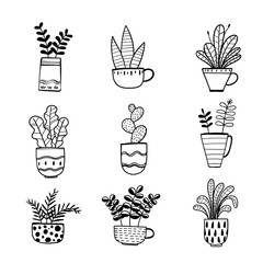 Collection of hand drawn plants in a pot.  Vector illustrations in sketch doodle style.