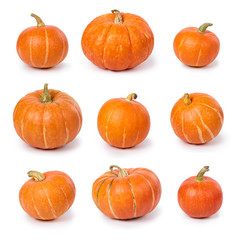 A set of pumpkins isolated on white background. Full depth of field.