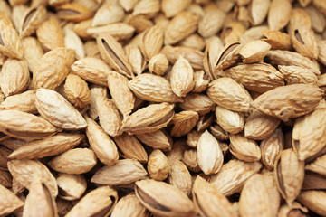 Background nuts almonds