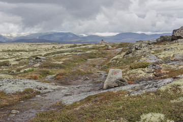 Old kingsway in Norway