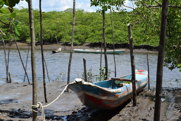 Fototapeta premium canoe and fishing boat, island of Boipeba, Cairu, Bahia, Brazil