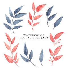 Hand drawn watercolor gentle elements for cards and surface design. Artistic decorative floral branches with leaves isolated on white. - 225529078