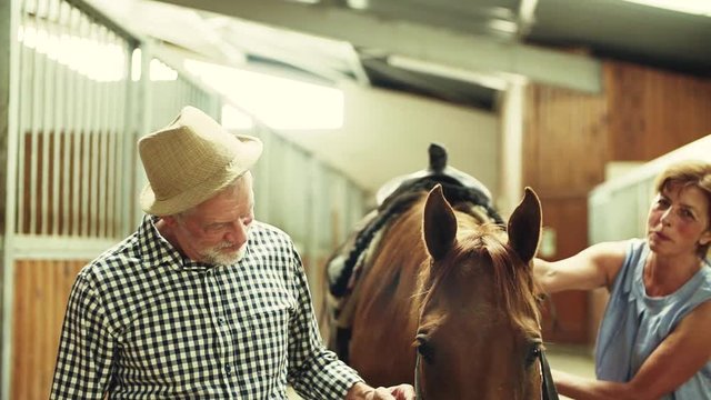 A senior couple petting a horse in a stable.