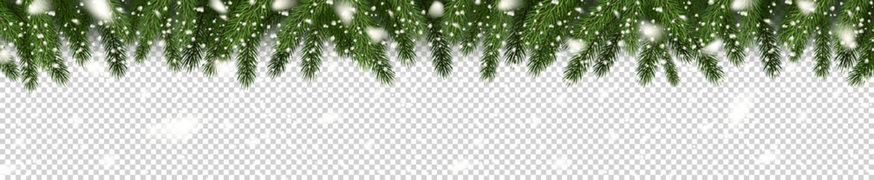 Fir branches and snowflakes on checkered background. Spruce branches. Christmas tree branches. Can be used on any background. Vector illustration