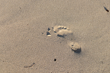 Fototapeta na wymiar Fußabdruck im Sand - Ibiza