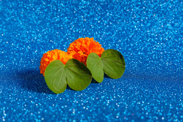 Happy Dussehra greeting card , green leaf and rice