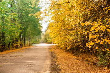 Autumn road card