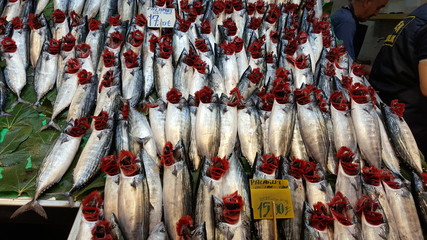 Kadikoy fish bazaar, İstanbul. Fresh fish. October 2018. 