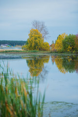 Autumn background, Golden autumn: colorful trees near the pond with reflection in the water.