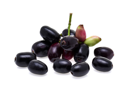 Jambolan plum or Java plum on white background
