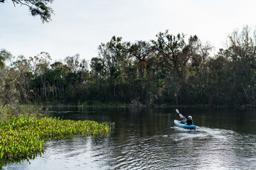Ocala National Forest, Everglades, Florida USA