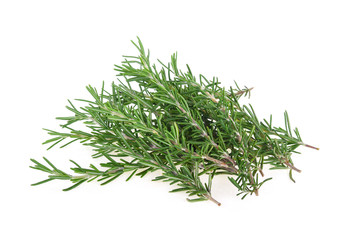 Rosemary isolated on white background