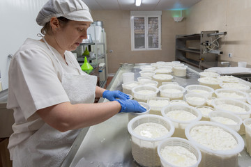 working woman preparing cheese raw dough into molds