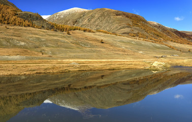 Reflection of autumn forest and mountains in lake. Altai mountains landscape.  Western Siberia. Russia