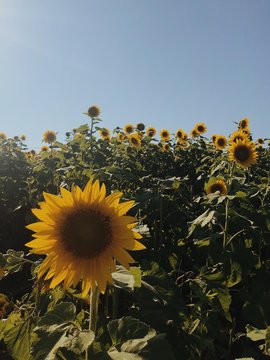 Processed with VSCO with m5 preset