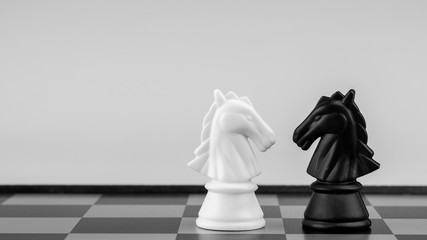 white and black horse chess stand encounter on a chessboard. - Business winner and fight concept.