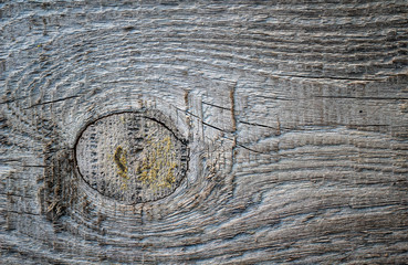 Holz, Wood, Maserung, Textur, Material 