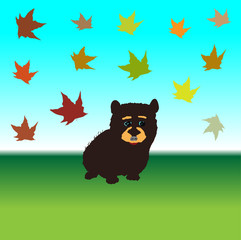 Hand illustration of little bear on green and blue background with falling autumn leaves. Poster, card, clothes, bags, postcard.
