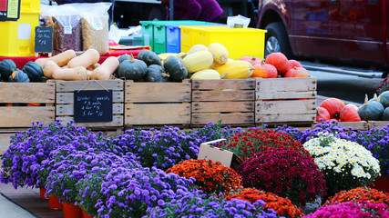 Farmers market goods display.  Bright autumn chrysanthemum and boxes with assorter gourds for sale...