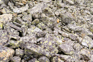 Close view of a large number of gray stones fallen from the mountain during rockfall covered with colored moss