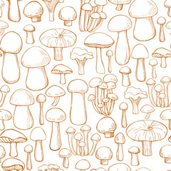 Vector  seamless pattern with hand drawn mushrooms.