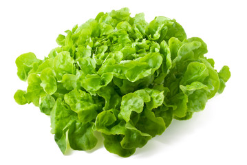 Butterhead lettuce isolated on white background