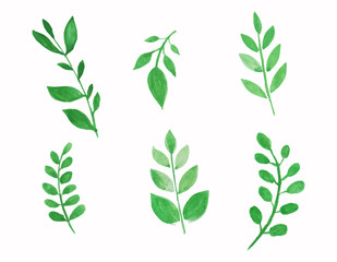  set of vector watercolor leaves.