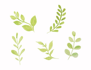  set of vector watercolor leaves.