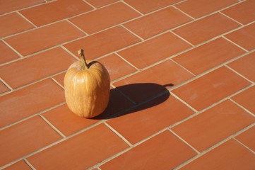 Calabaza de temporada de otoño para halloween