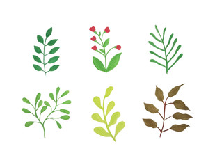  set of vector watercolor leaves.