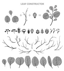 Big set of leaf, flower, branch. Fall, spring, summer. Detailed vector macro illustration, not autotrace, constructor design