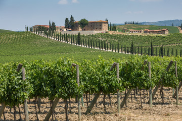 Fototapeta na wymiar Winery and vineyards in the rolling hills near San Gimignano, Chianti, Tuscany