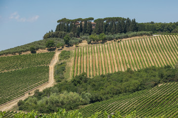 Winery and vineyards in the rolling hills near San Gimignano, Chianti, Tuscany