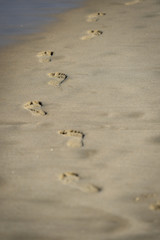 Man footprints in the sand on a beach