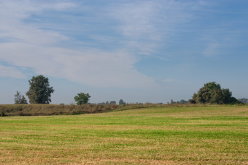 campo agricolo