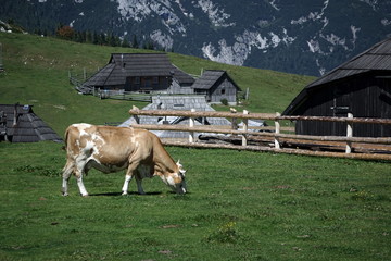 il villaggio di velika planina 
