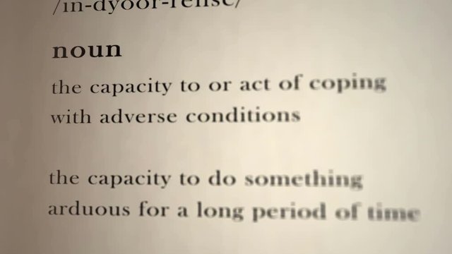 Endurance Definition  