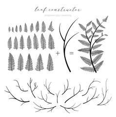Branch and leaf, fall, spring, summer. Detailed vector illustration, not autotrace, constructor design