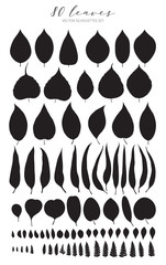 Silhouette set branch and leaf, fall, spring, summer. Isolated vector