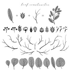 Big set of vector branch and leaf, fall, spring, summer. Detailed macro illustration, not autotrace, constructor design