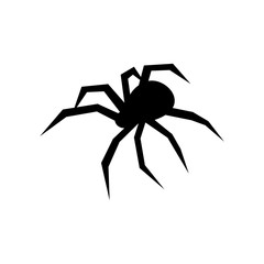 Black spider vector silhouette. Black widow. Flat vector illustration