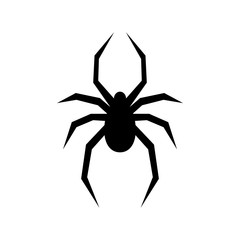 Black spider vector silhouette. Black widow. Flat vector illustration