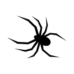 Black spider vector silhouette. Black widow. Flat vector illustration