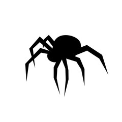 Black spider vector silhouette. Black widow. Flat vector illustration