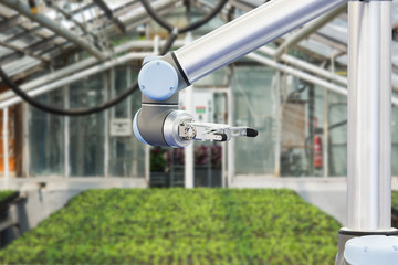 The robot arm is working in a greenhouse. Smart farming and digital agriculture